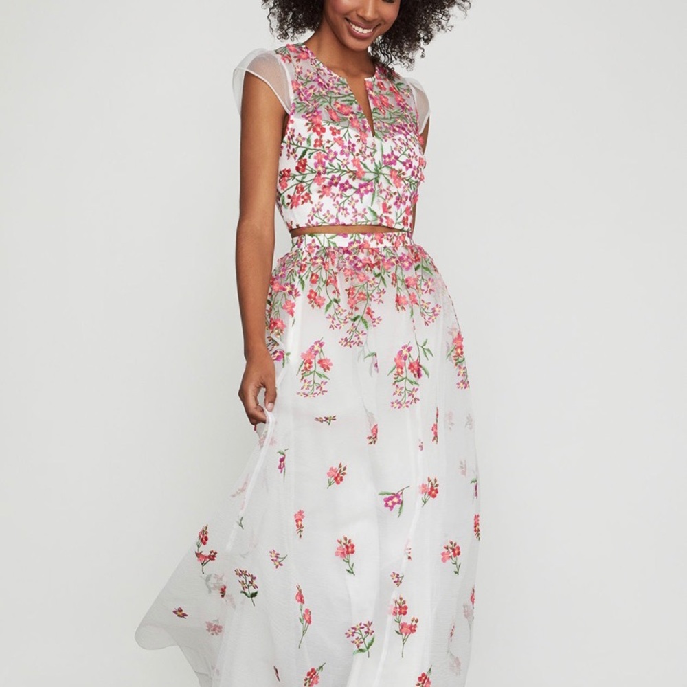 BCBGMaxAzria two piece dress